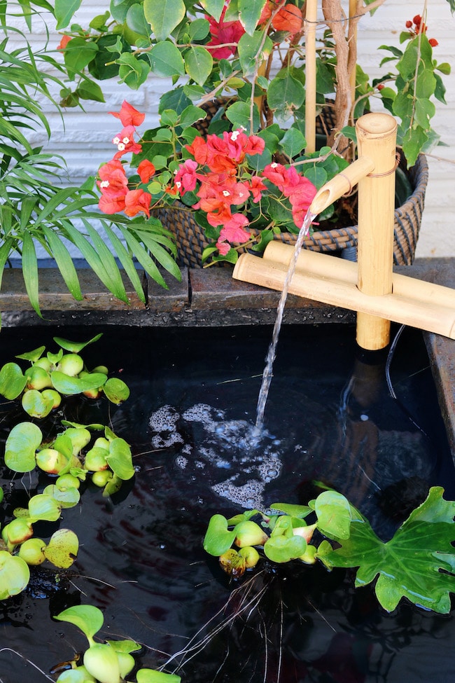 Our Side Patio Makeover (+ Patio Pond giveaway!)