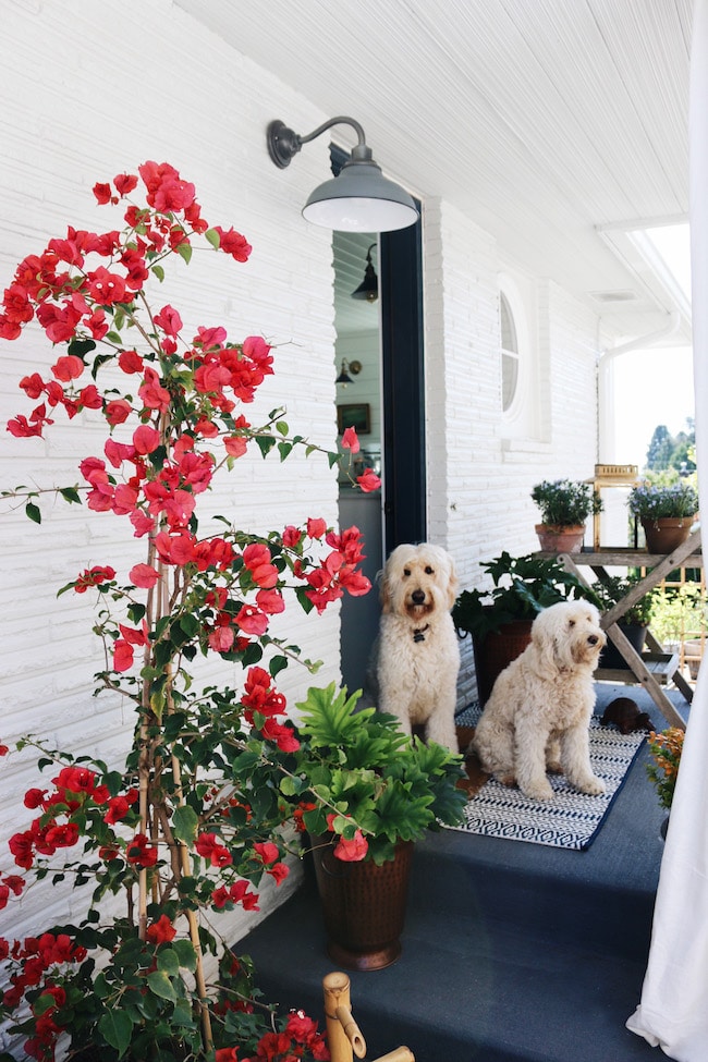 White Brick Cottage - Interior + Exterior Paint Colors