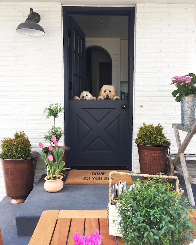 https://theinspiredroom.net/wp-content/uploads/2017/06/Navy-blue-dutch-door-Labradoodle-and-Goldendoodle-The-Inspired-Room-blog.jpg