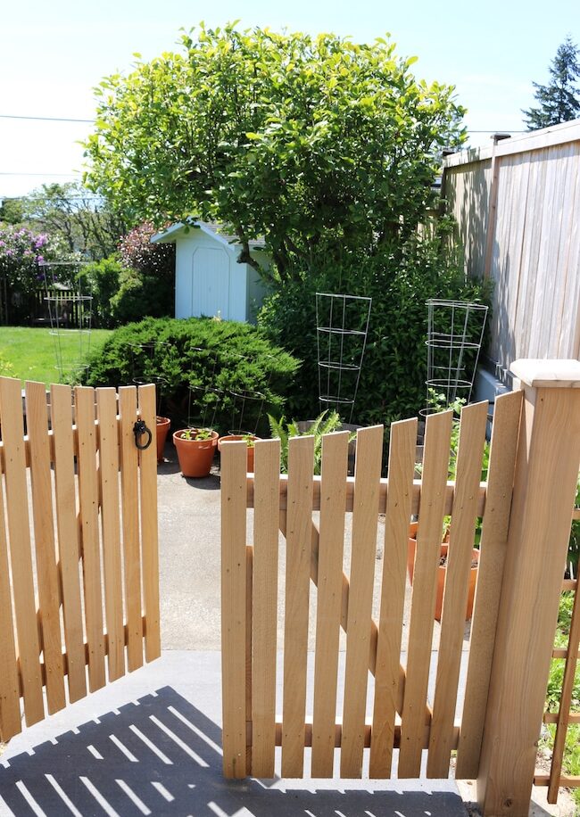 My Vegetable Container Garden
