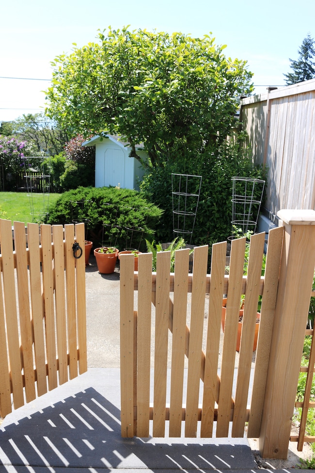 My Vegetable Container Garden