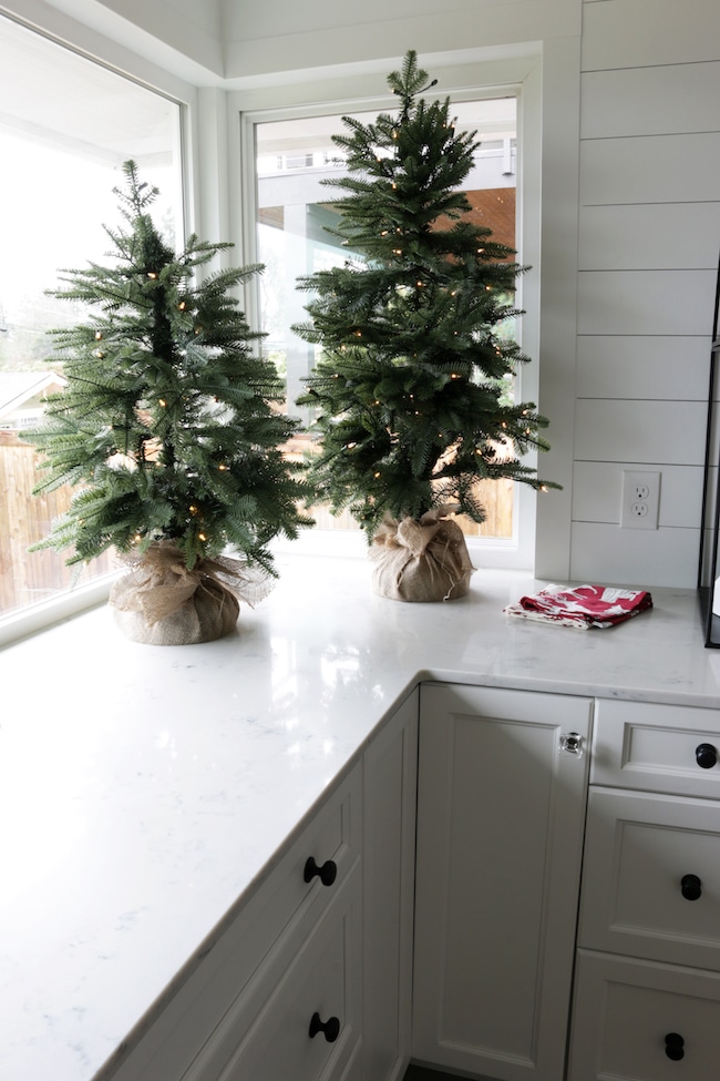 Home for the Holidays: Christmas Trees & Traditions