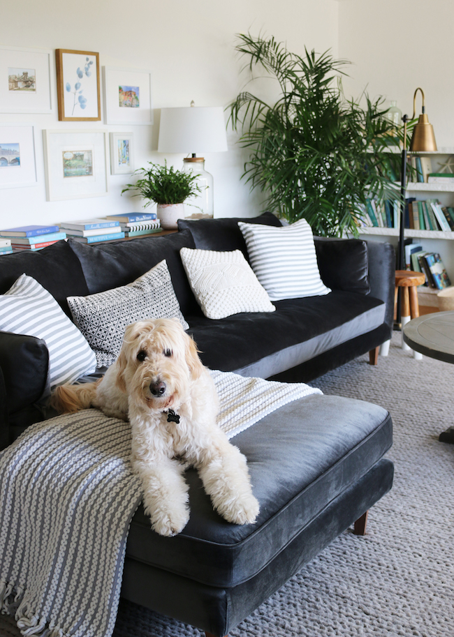 Table behind sectional deals couch