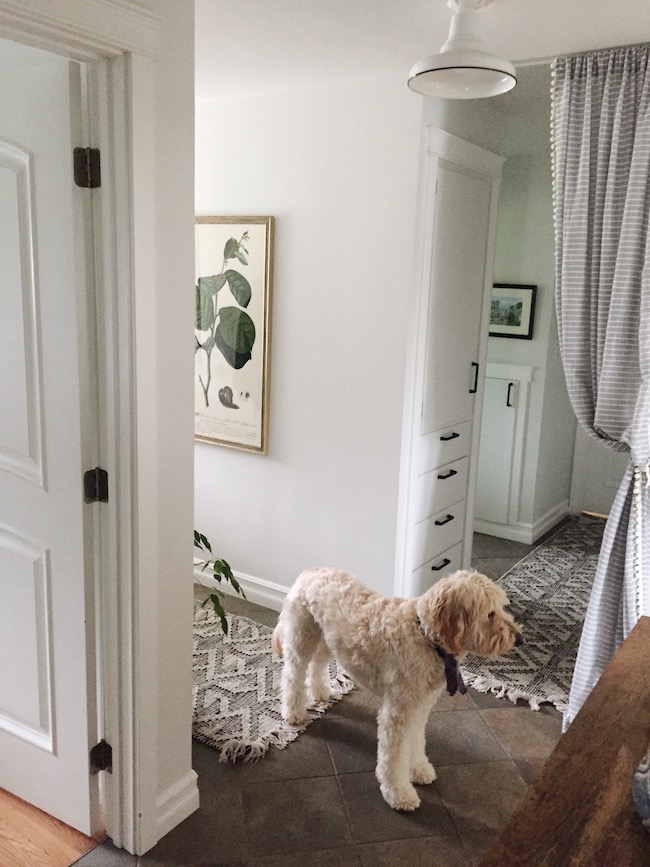 Curtains on Doorways: Creative Concealments