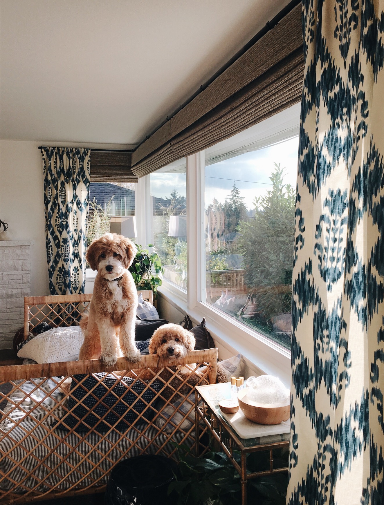 How Do You Keep a Clean House with Dogs? The Inspired Room