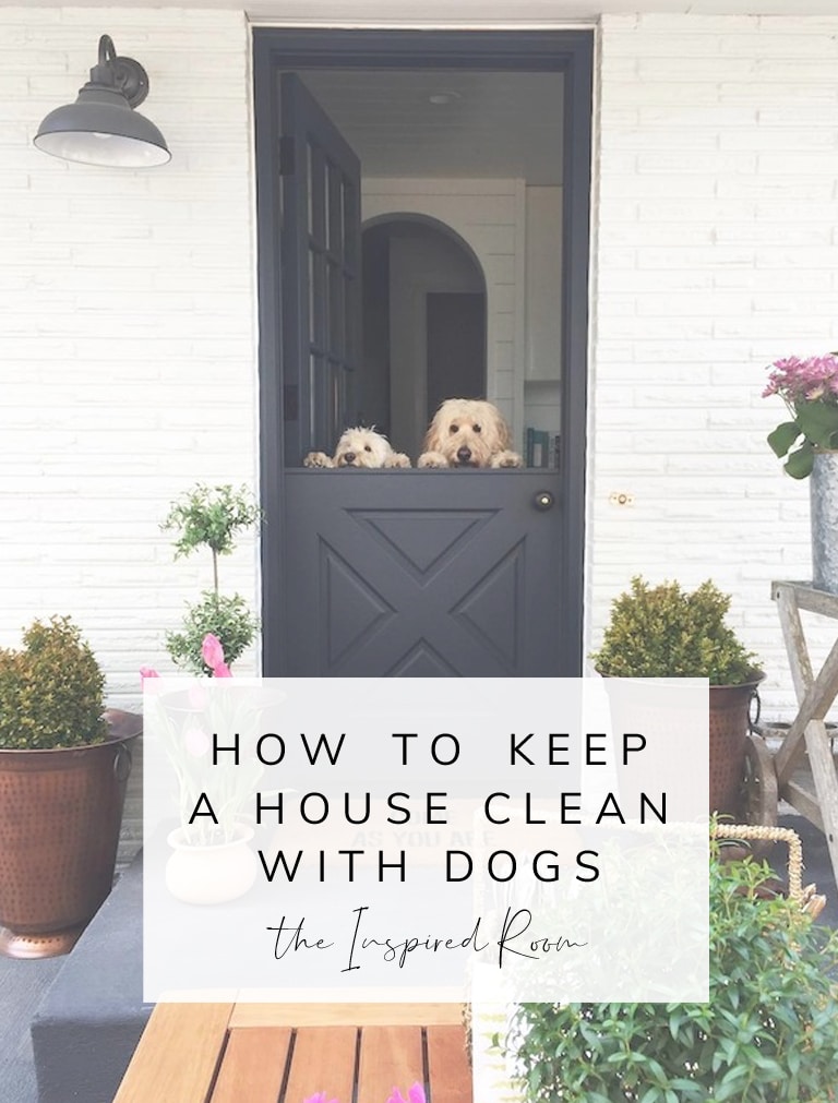 How Do You Keep a Clean House with Dogs?