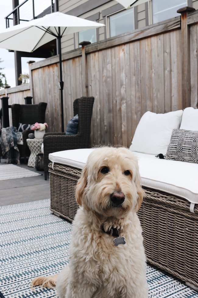 Getting our side patio ready for summer