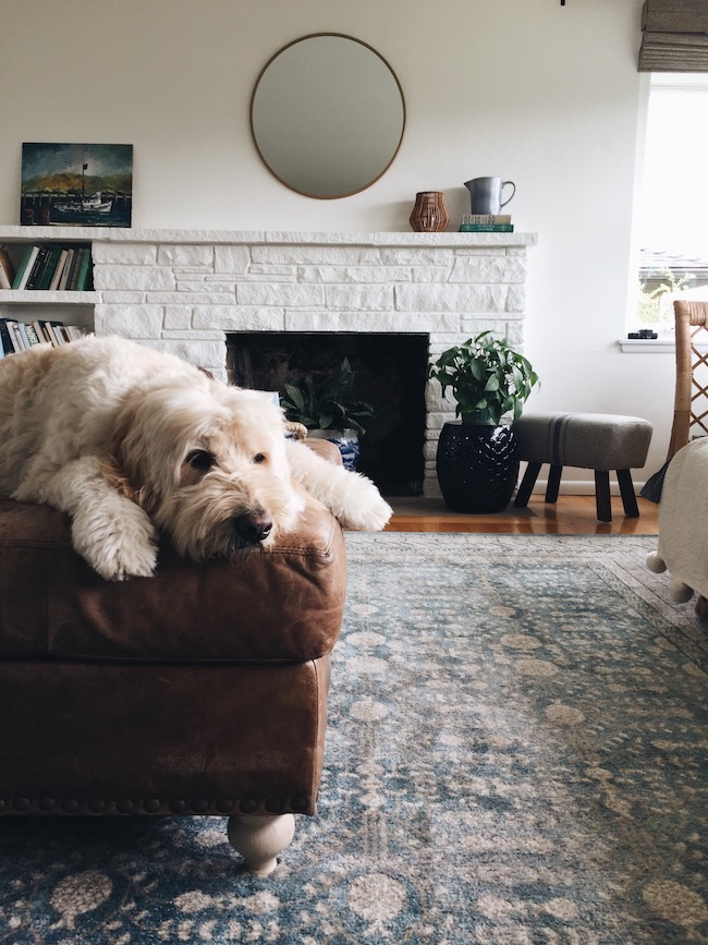 Life Lately: Hanging Around The House