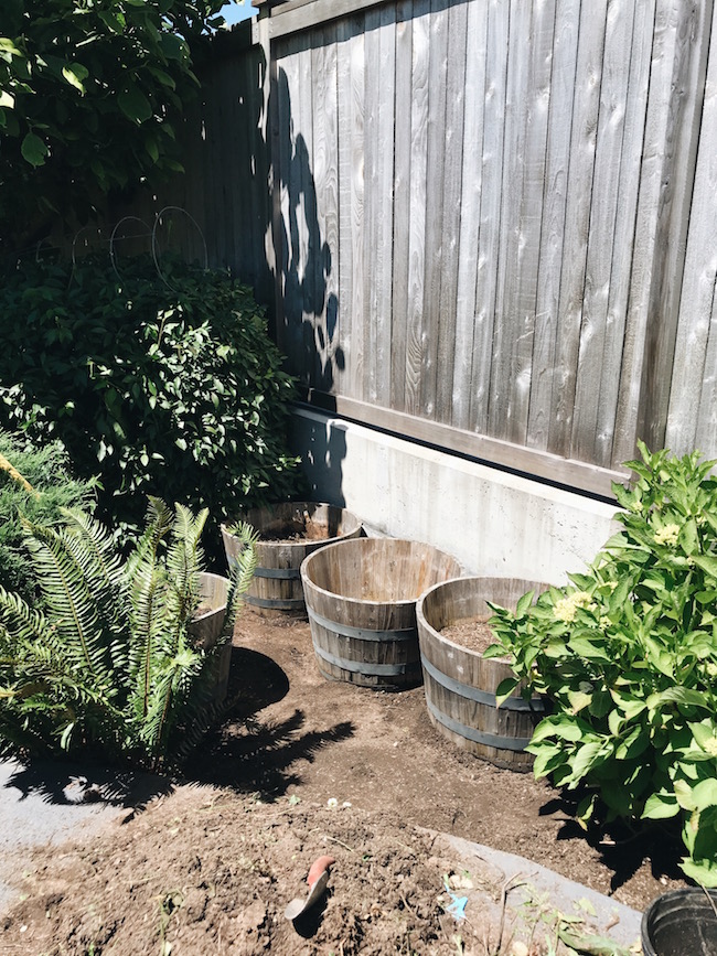 Gateless in Seattle + Growing Gardens