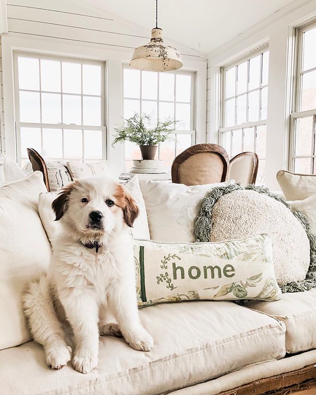 White (+ Neutral) Couch in a Room Inspiration