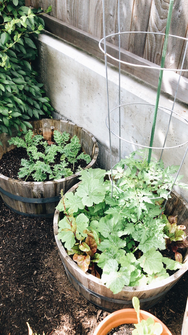 Gateless in Seattle + Growing Gardens