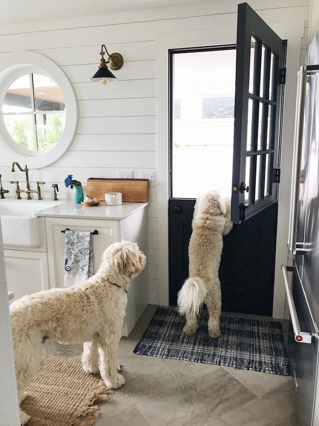 https://theinspiredroom.net/wp-content/uploads/2018/07/Dutch-Door-and-Dogs-in-the-Kitchen-.jpg