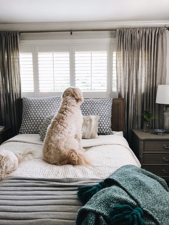 Shutters in deals bedroom