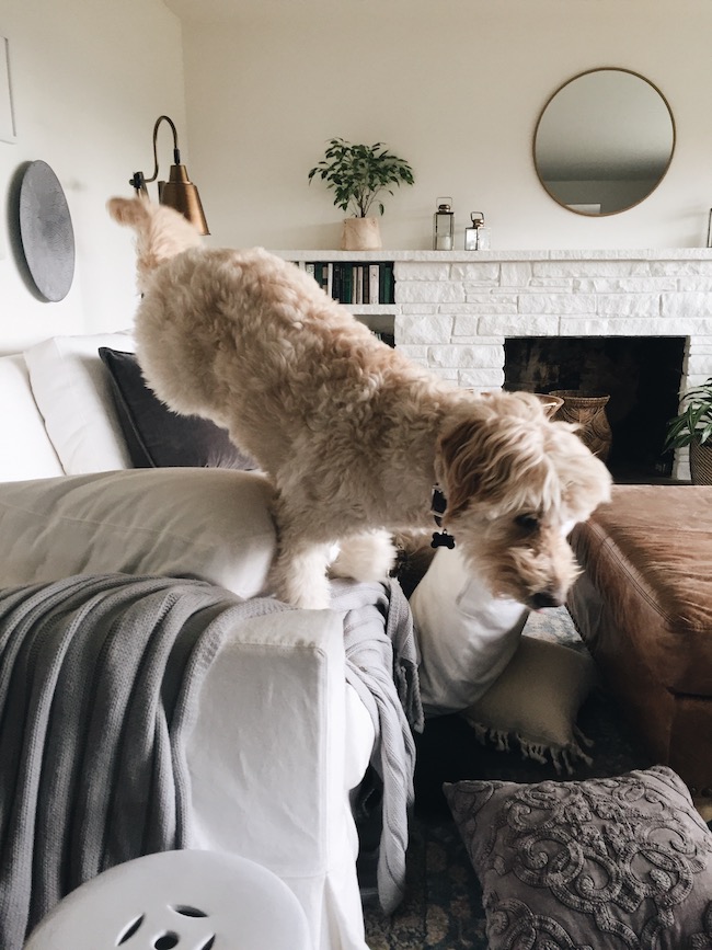 My York Pottery Barn White Slipcovered Sofa - FAQ