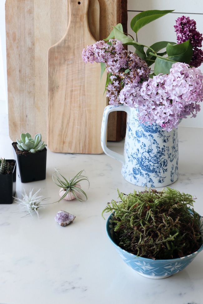 DIY Succulent Terrarium Diffuser