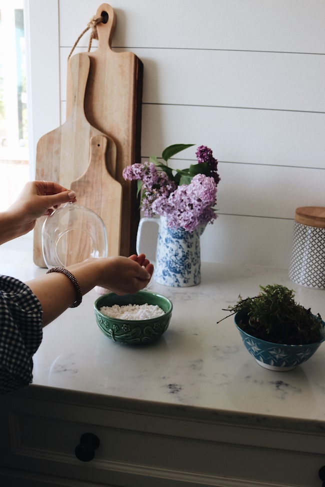 DIY Succulent Terrarium Diffuser