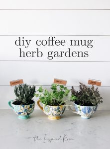 DIY Coffee Mug Herb Garden