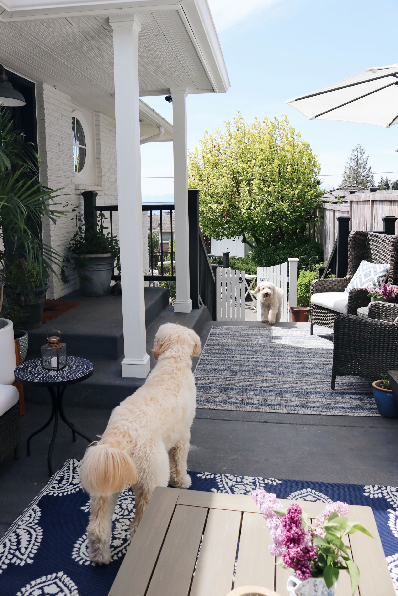 Spring in our Outdoor Oasis (A Side Patio Refresh!)