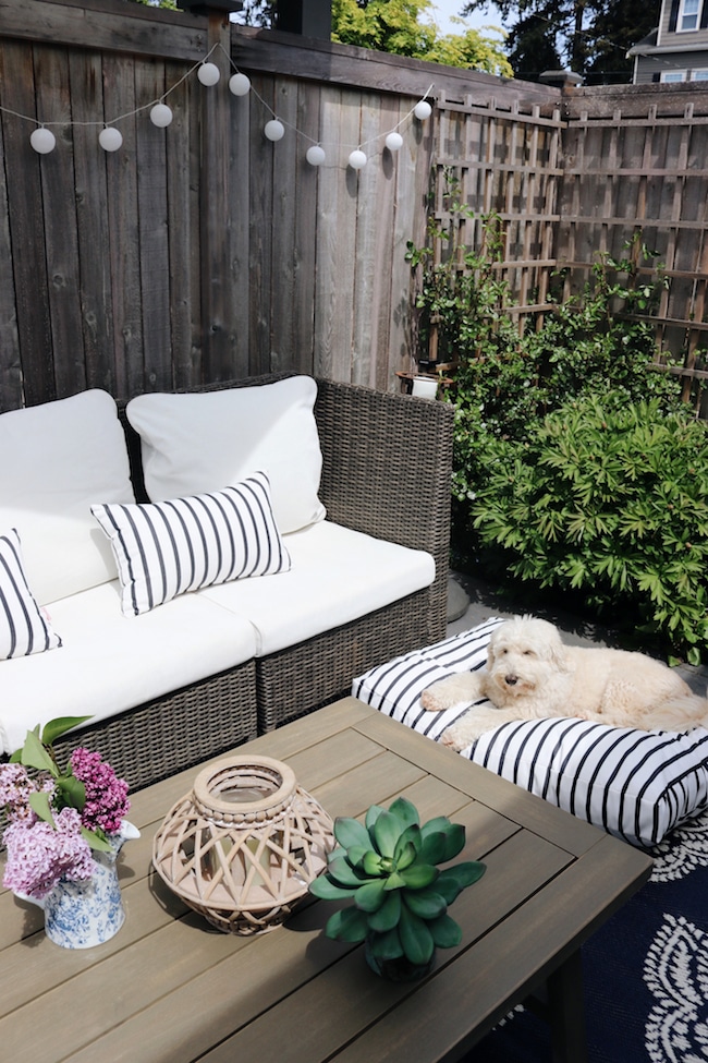 Spring in our Outdoor Oasis (A Side Patio Refresh!)