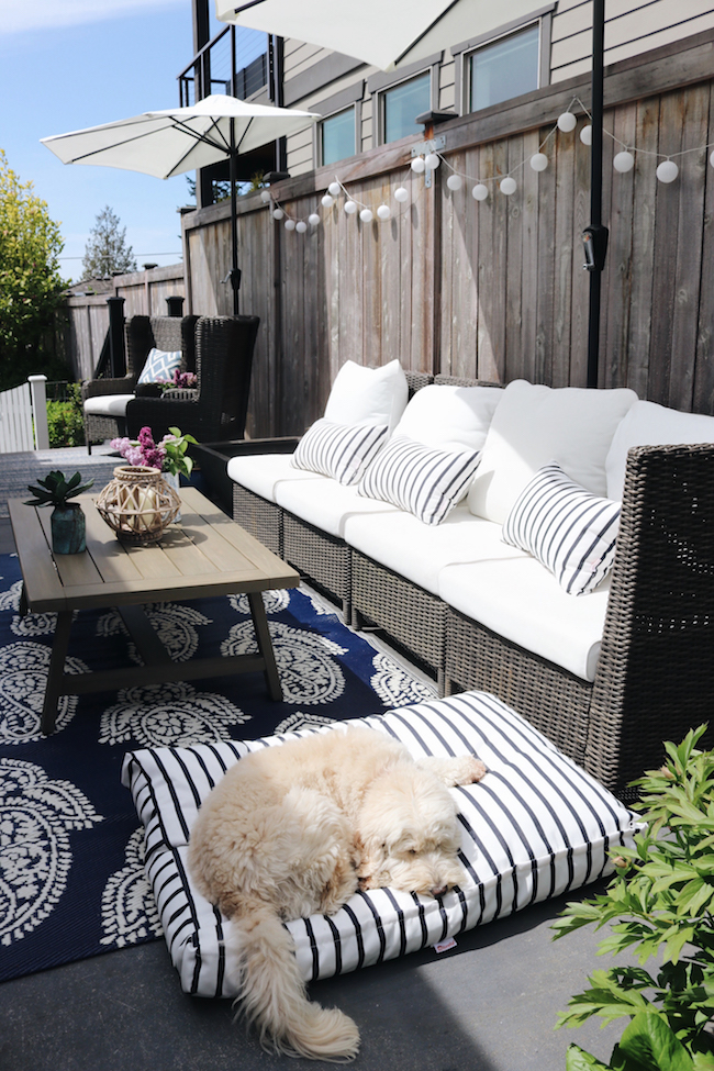 https://theinspiredroom.net/wp-content/uploads/2019/05/Lily-Labradoodle-on-Outdoor-Striped-Dog-Bed-Blue-and-White.jpg