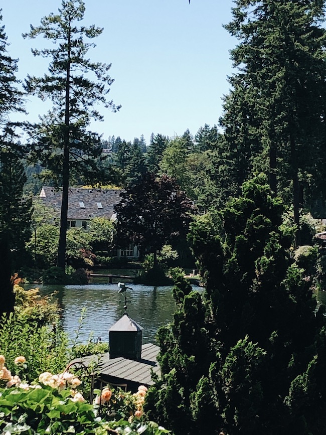 Drive By: Lake Oswego