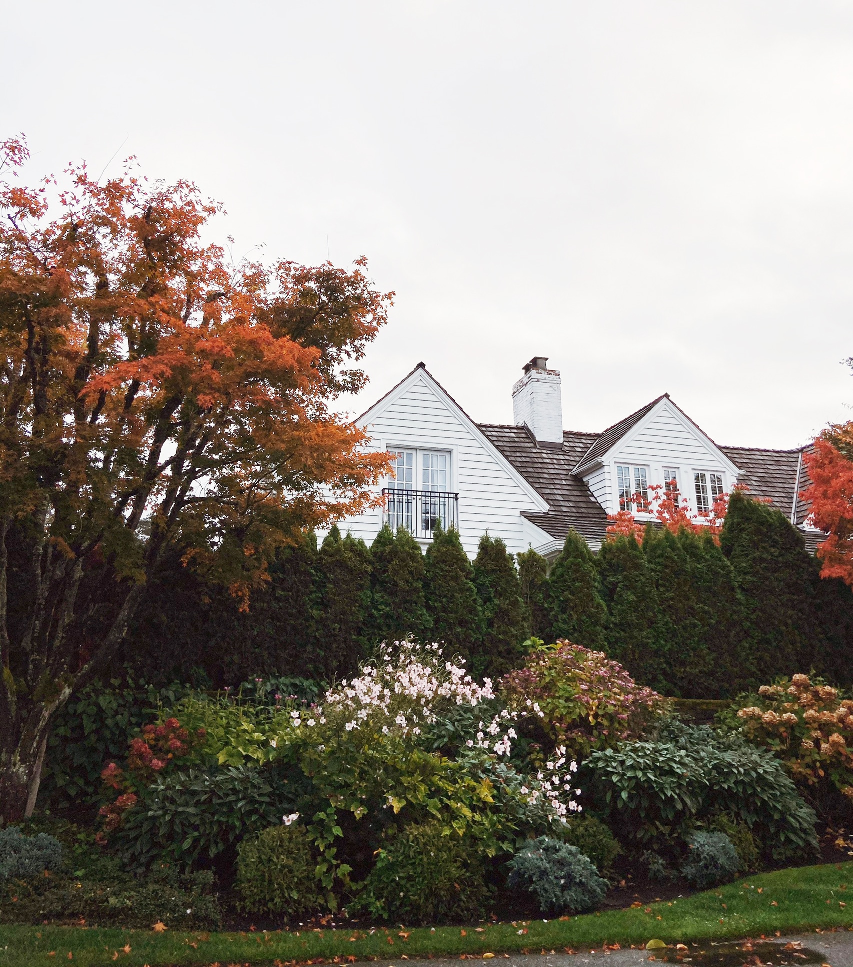 Autumn Drive By - Charming Seattle Neighborhoods