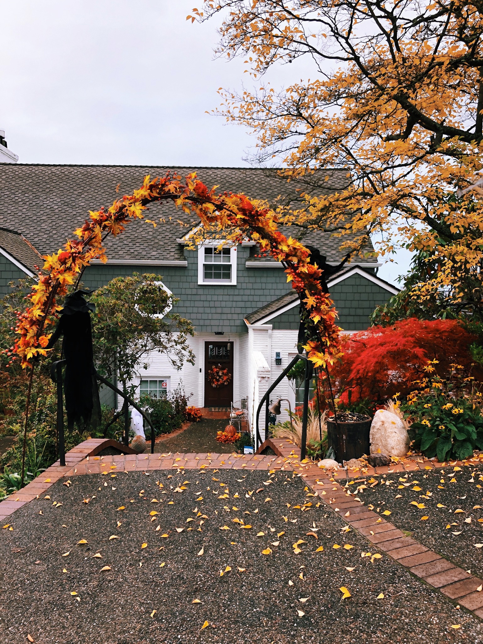 Autumn Drive By - Charming Seattle Neighborhoods