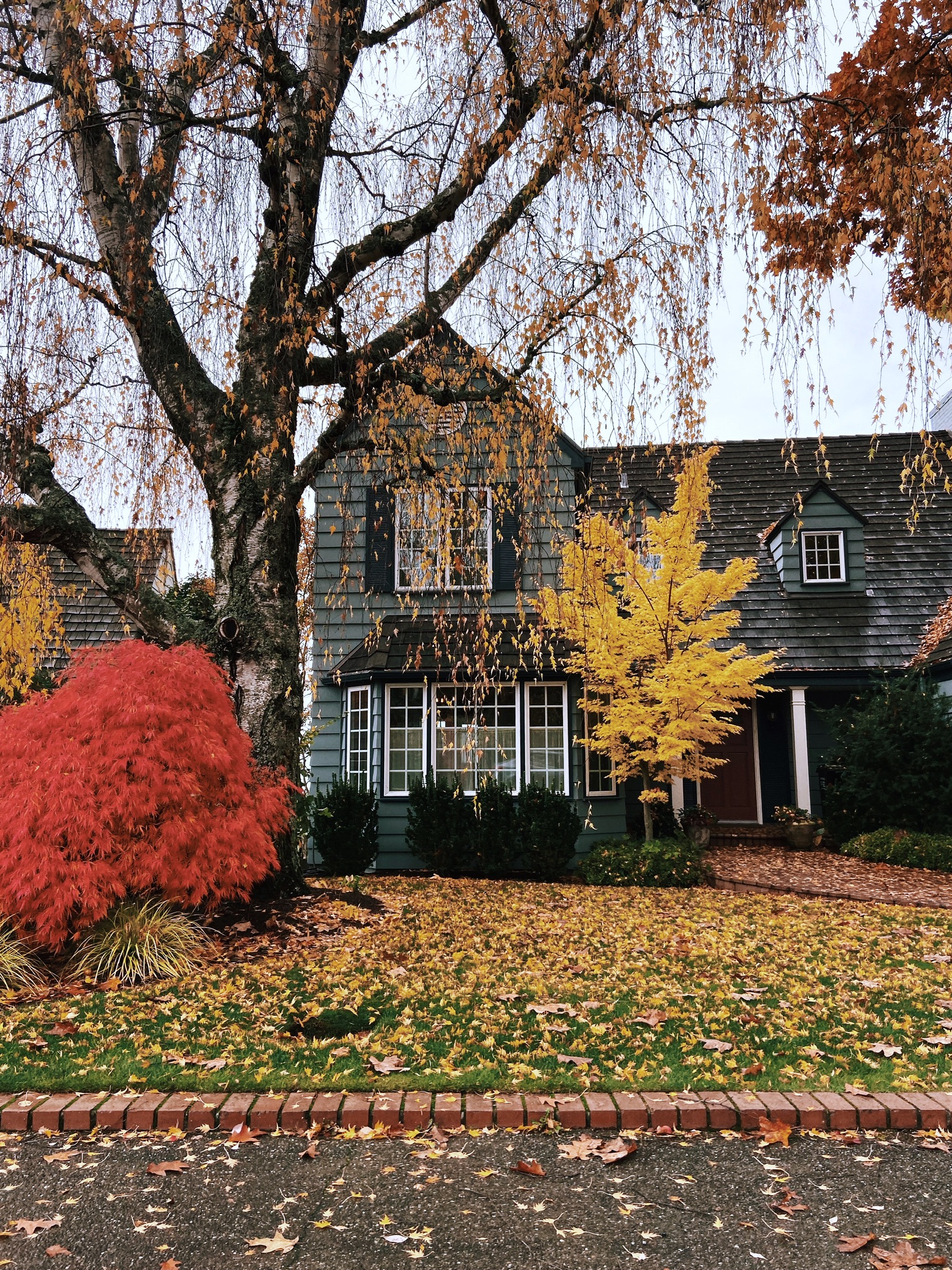 Autumn Drive By - Charming Seattle Neighborhoods