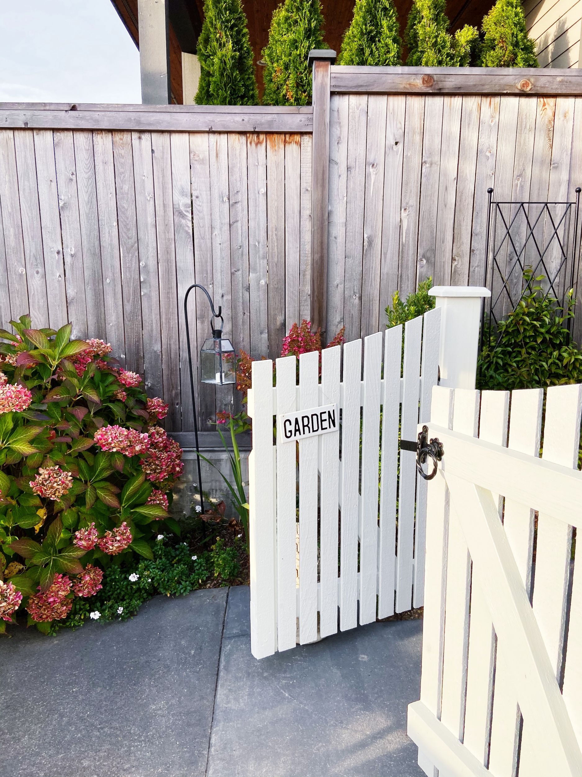 White Picket Garden Gates + Autumn Hydrangeas