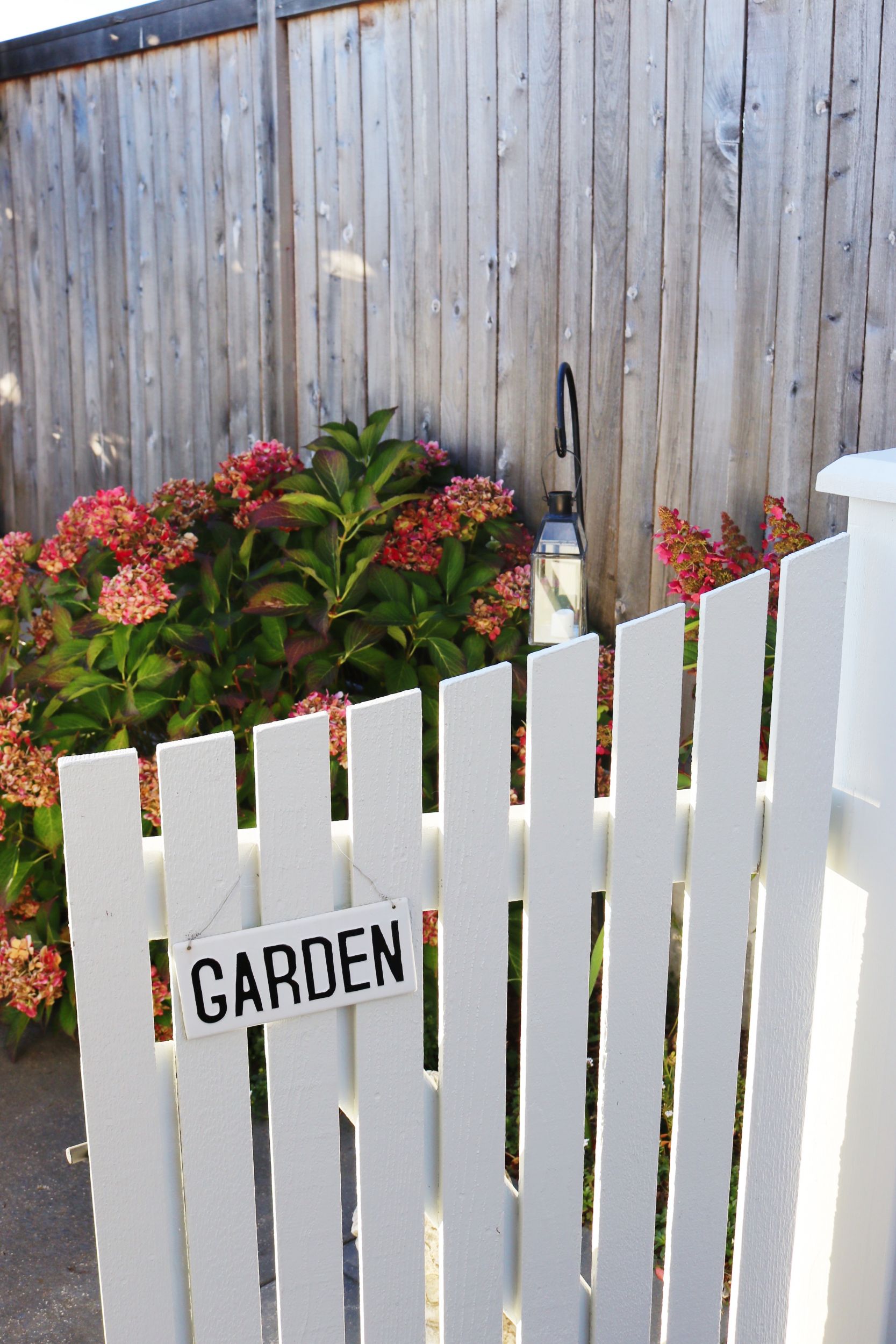 White Picket Garden Gates + Autumn Hydrangeas