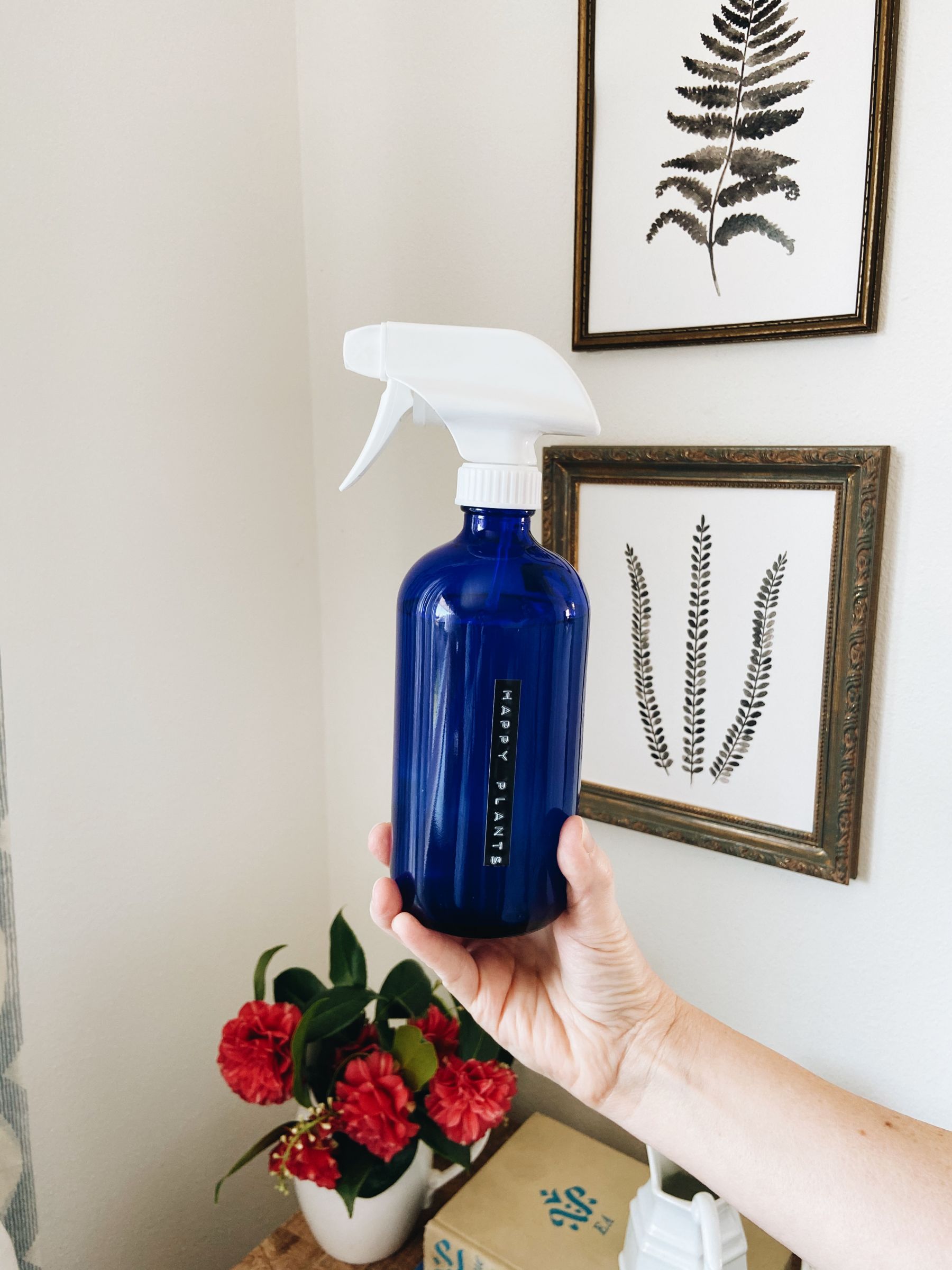 Happy Plant Spray for Your Home + Garden
