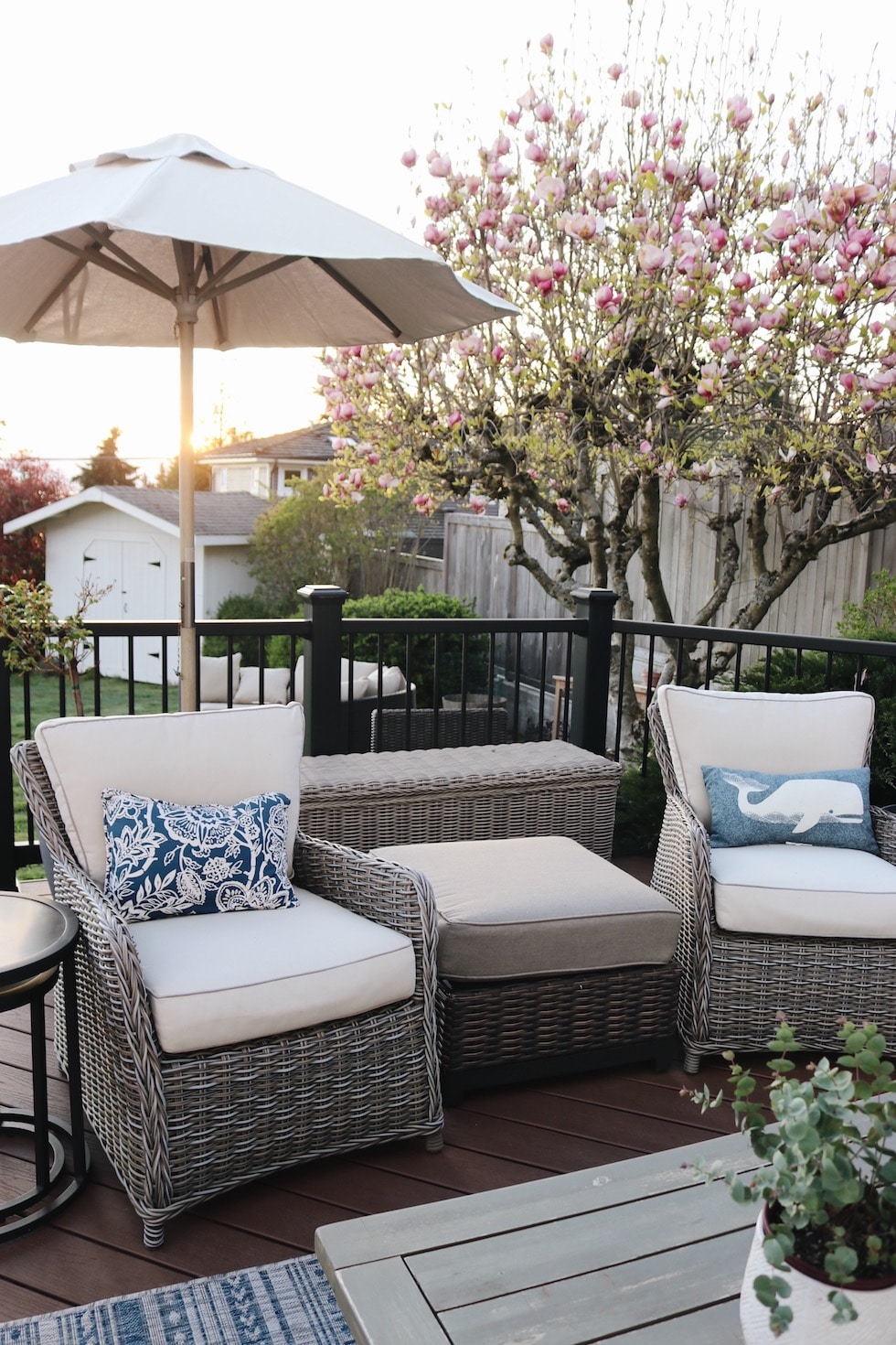 Deck + Patio Refresh + Outdoor Favorites