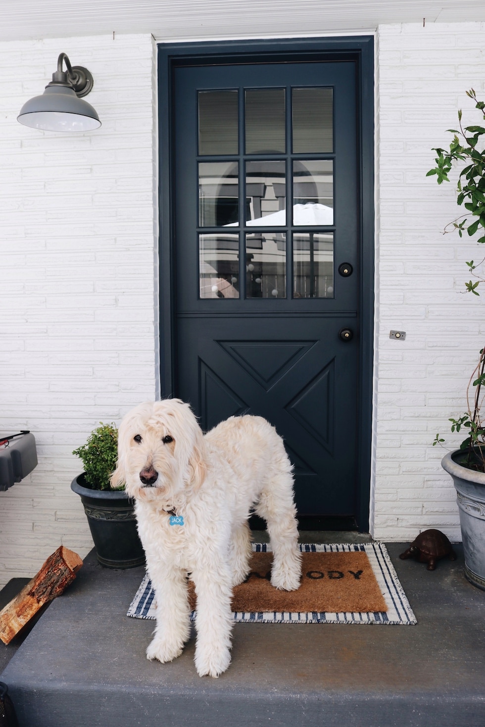 Deck + Patio Refresh + Outdoor Favorites