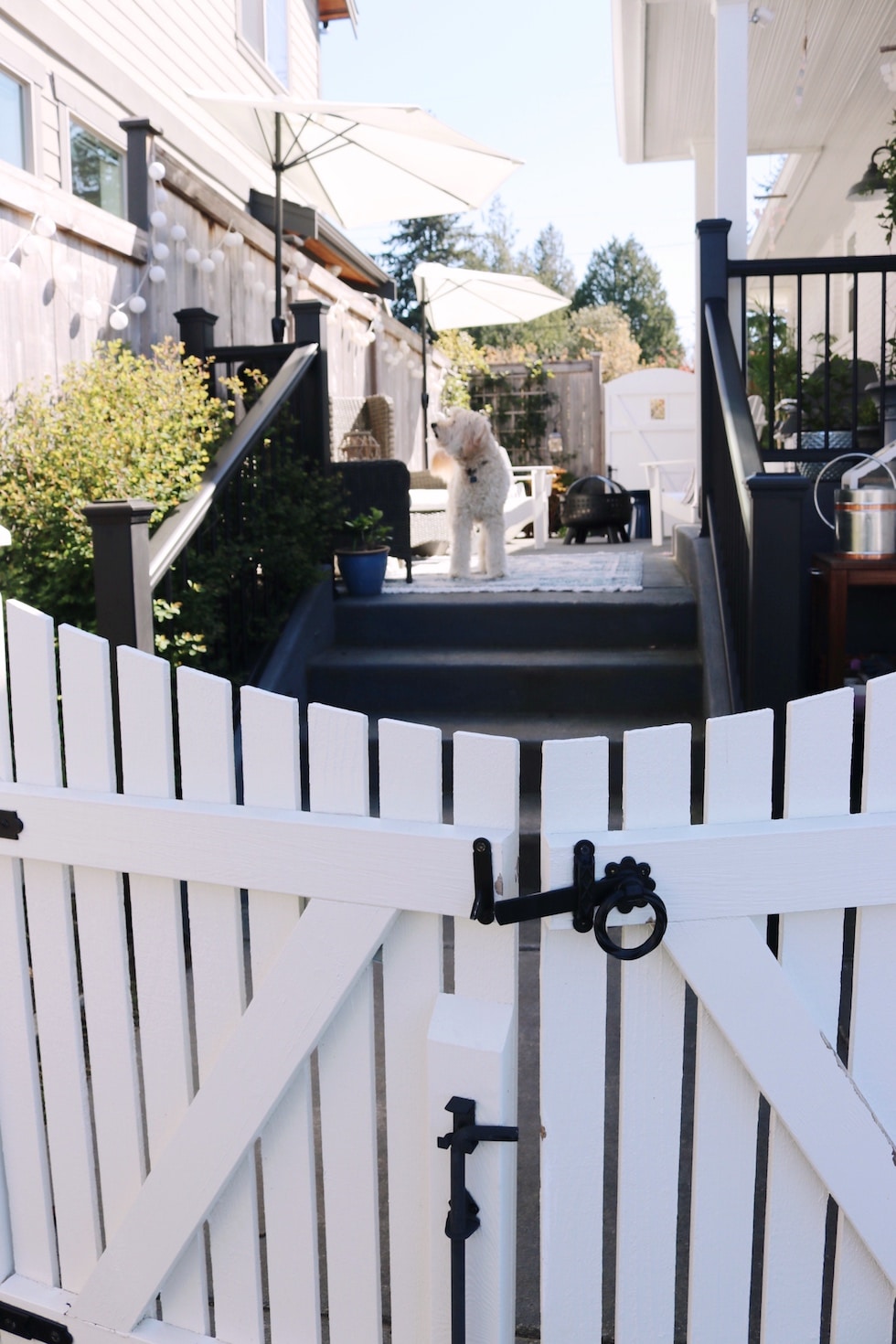 Deck + Patio Refresh + Outdoor Favorites