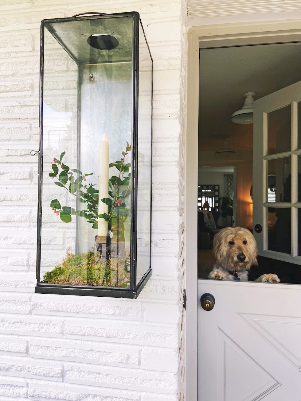 My New Outdoor Wall Lantern + Styling Ideas