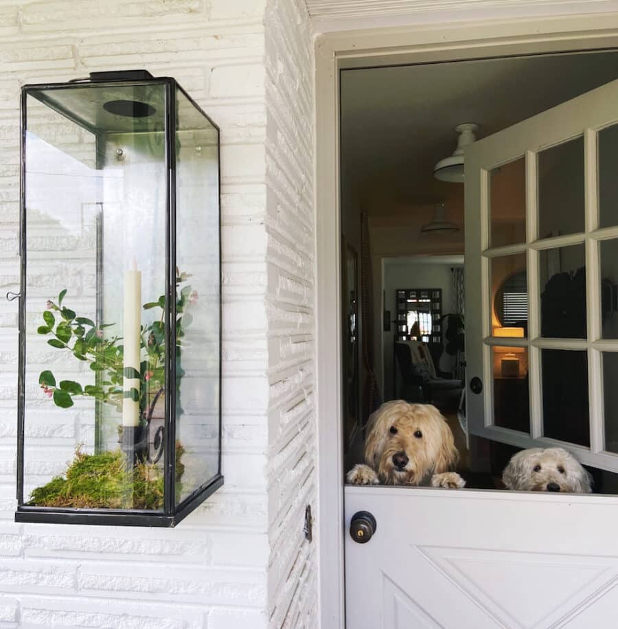 My New Outdoor Wall Lantern + Styling Ideas