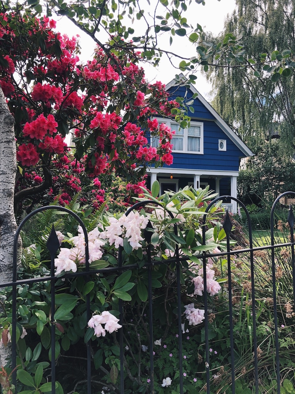 Neighborhood Walk in Queen Anne, Seattle {Drive By}