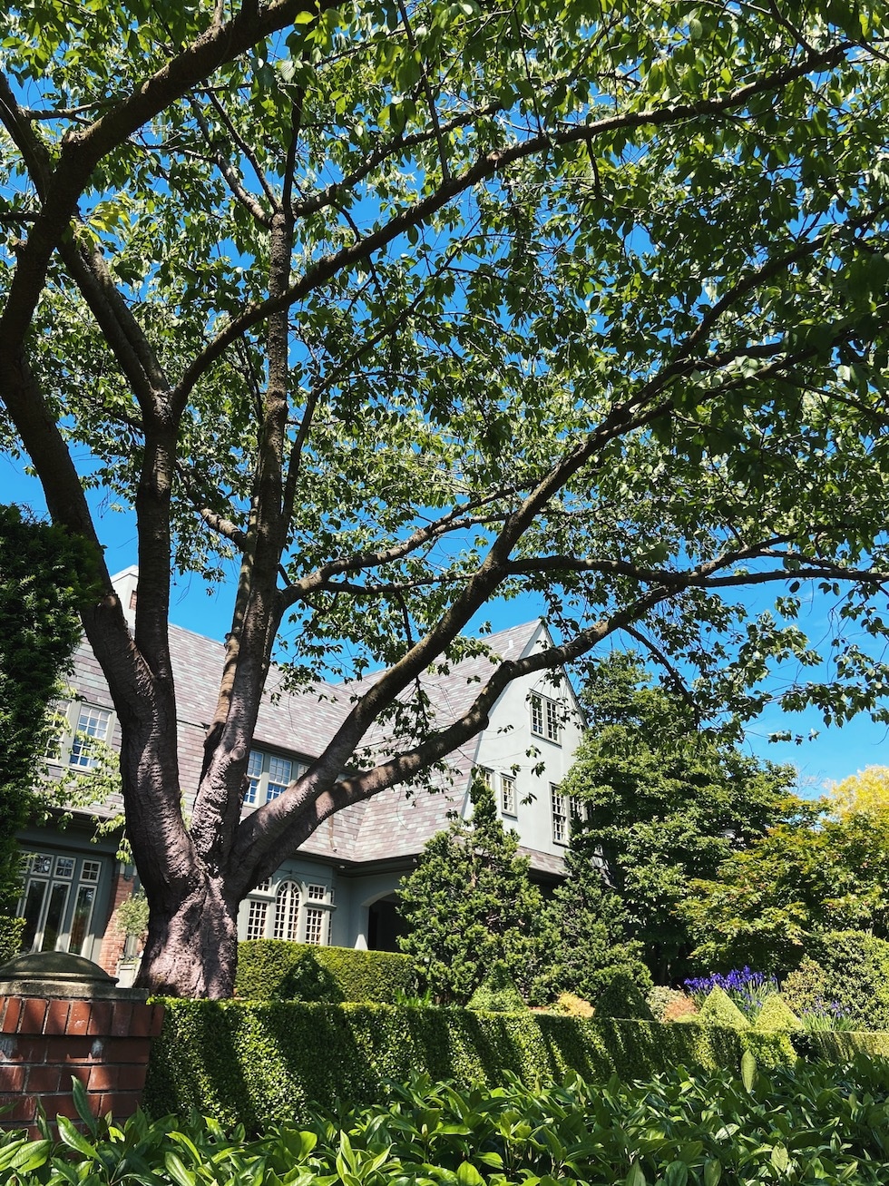 Neighborhood Walk in Queen Anne, Seattle {Drive By}