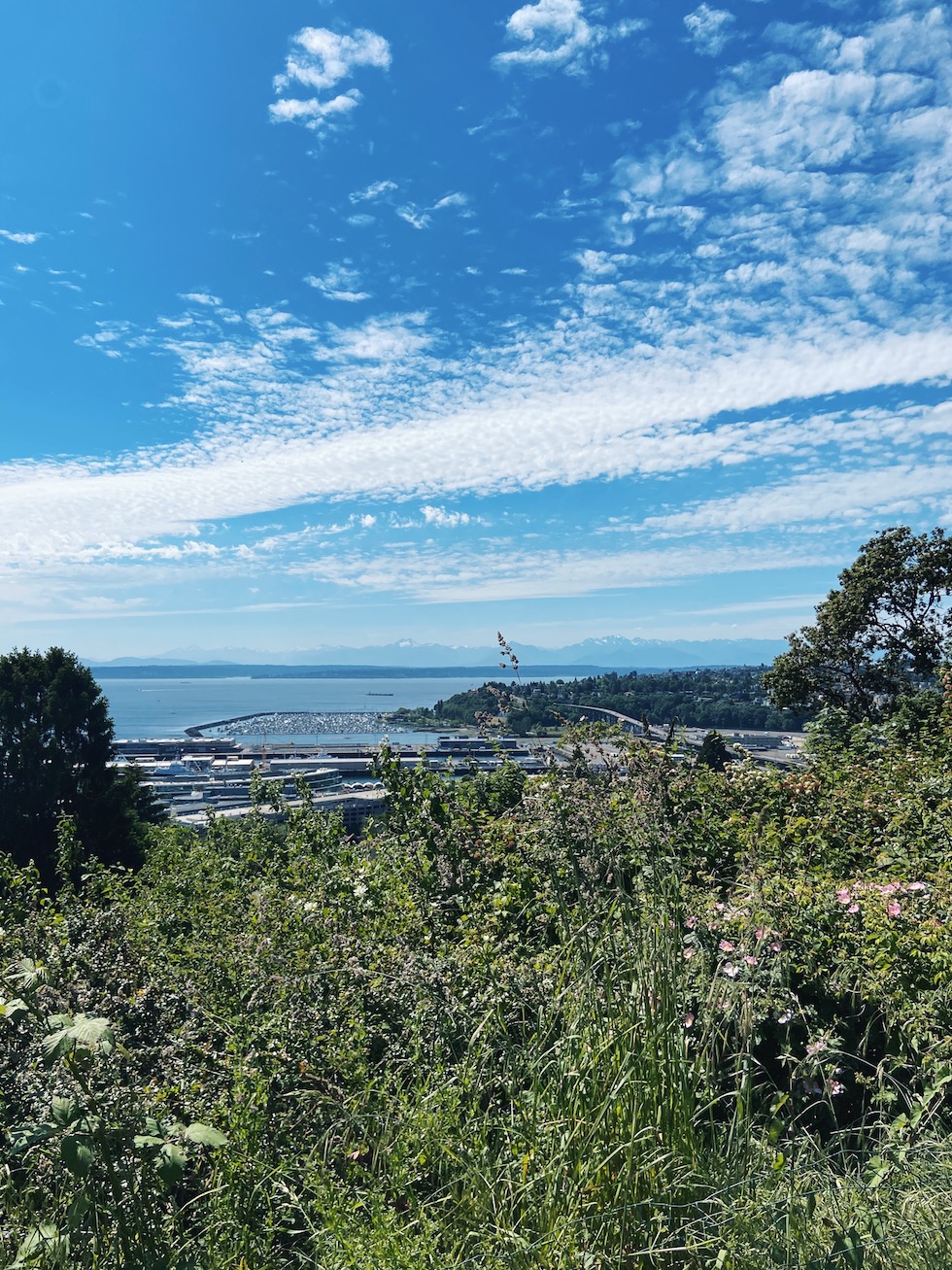 Neighborhood Walk in Queen Anne, Seattle {Drive By}