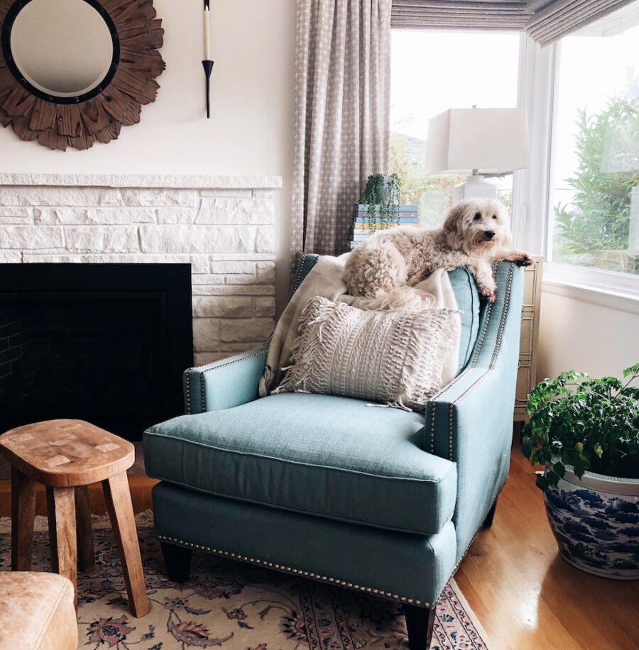 Big News! My Last Book