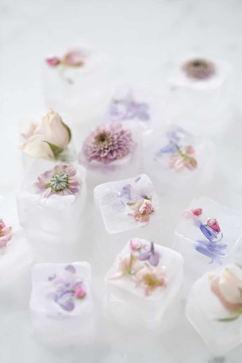 Fun Ways to Use Edible Flowers