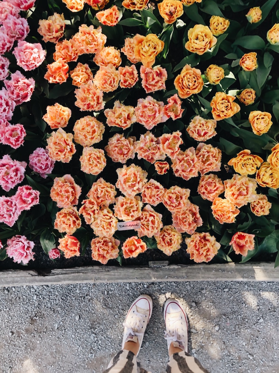 Out to See: Tulip Festival Roozengaarde (Washington State)