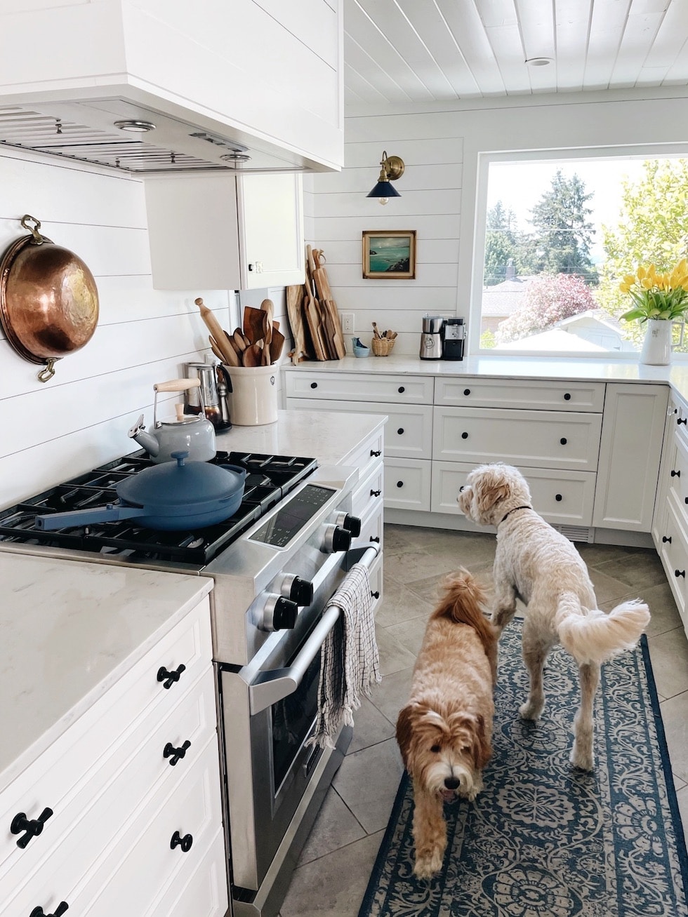 https://theinspiredroom.net/wp-content/uploads/2021/05/white-shiplap-kitchen-blue-white-ruggable-runner-coastal-inspired-the-inspired-room.jpg