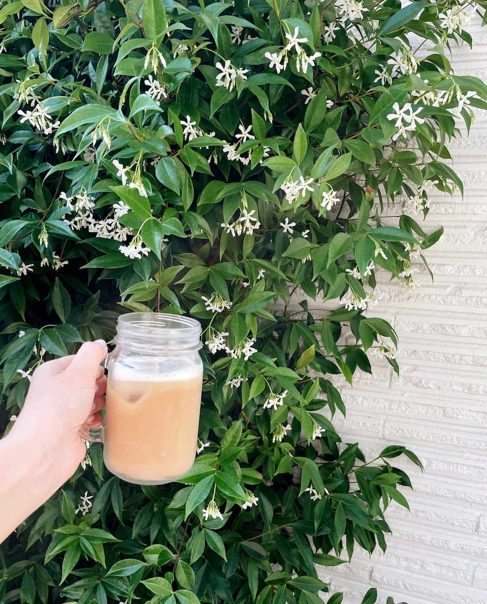 Iced Maple Oat Milk Shaken Espresso Recipe (Starbucks Copycat)