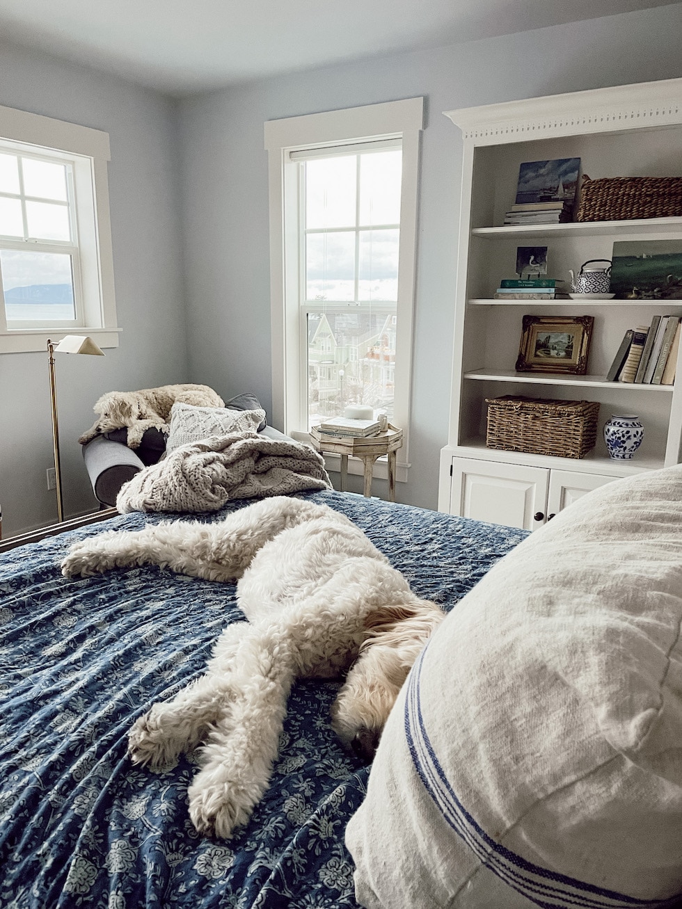 https://theinspiredroom.net/wp-content/uploads/2022/01/the-inspired-room-beach-house-bedroom-jack-goldendoodle.jpg