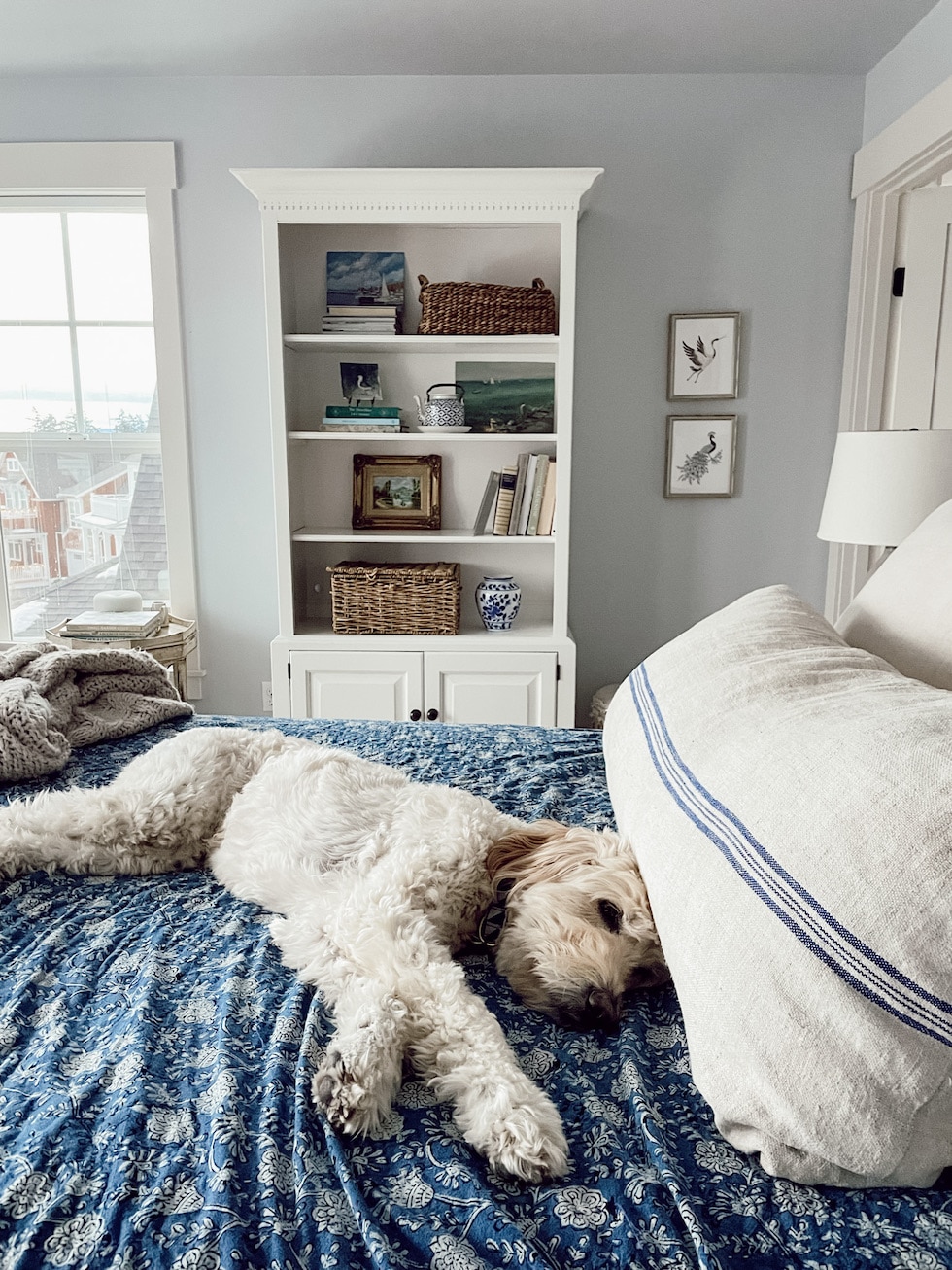 https://theinspiredroom.net/wp-content/uploads/2022/01/the-inspired-room-bedroom-jack-goldendoodle-beach-house-design.jpg