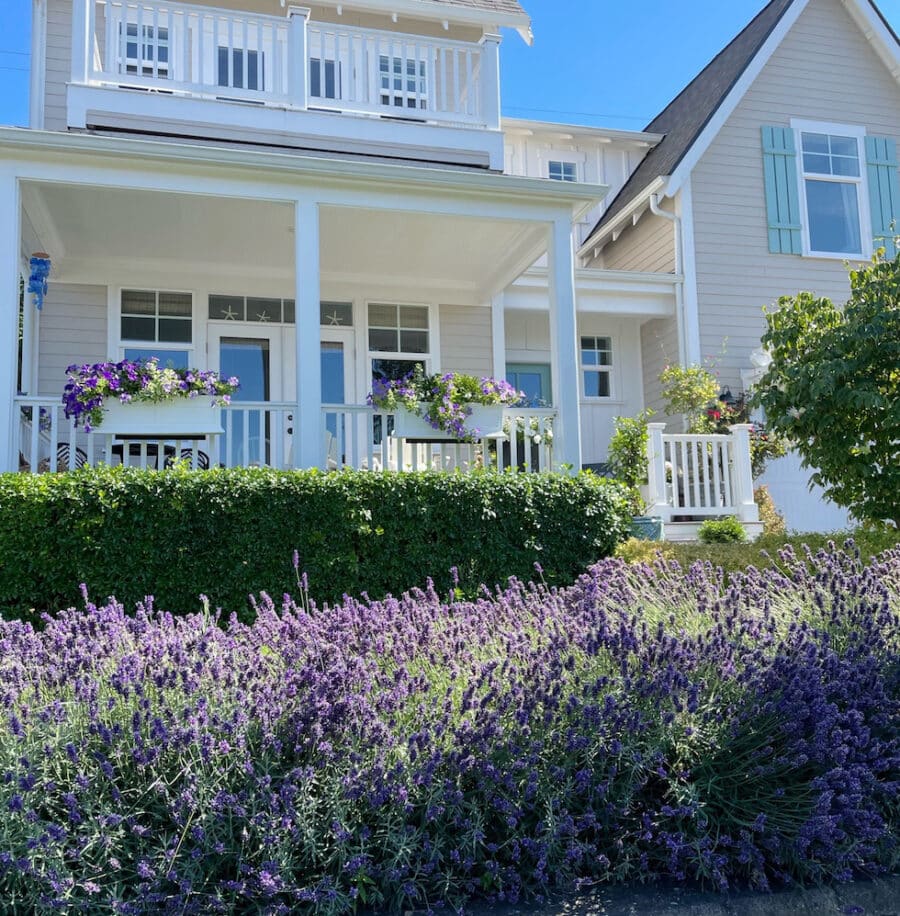 Our Railing Planter Boxes – Curb Appeal