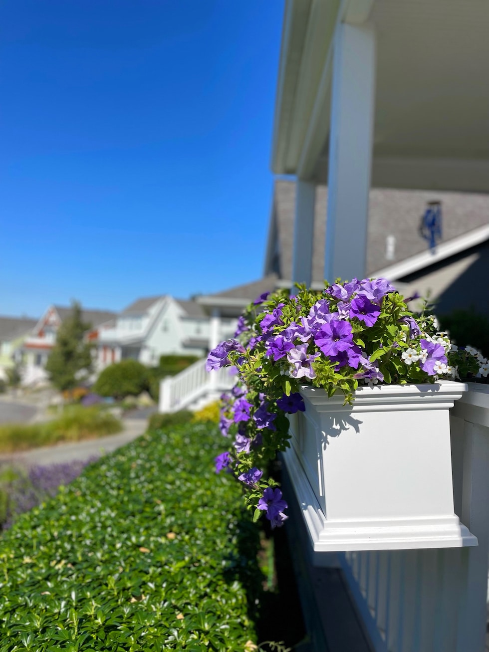 Our Railing Planter Boxes - Curb Appeal