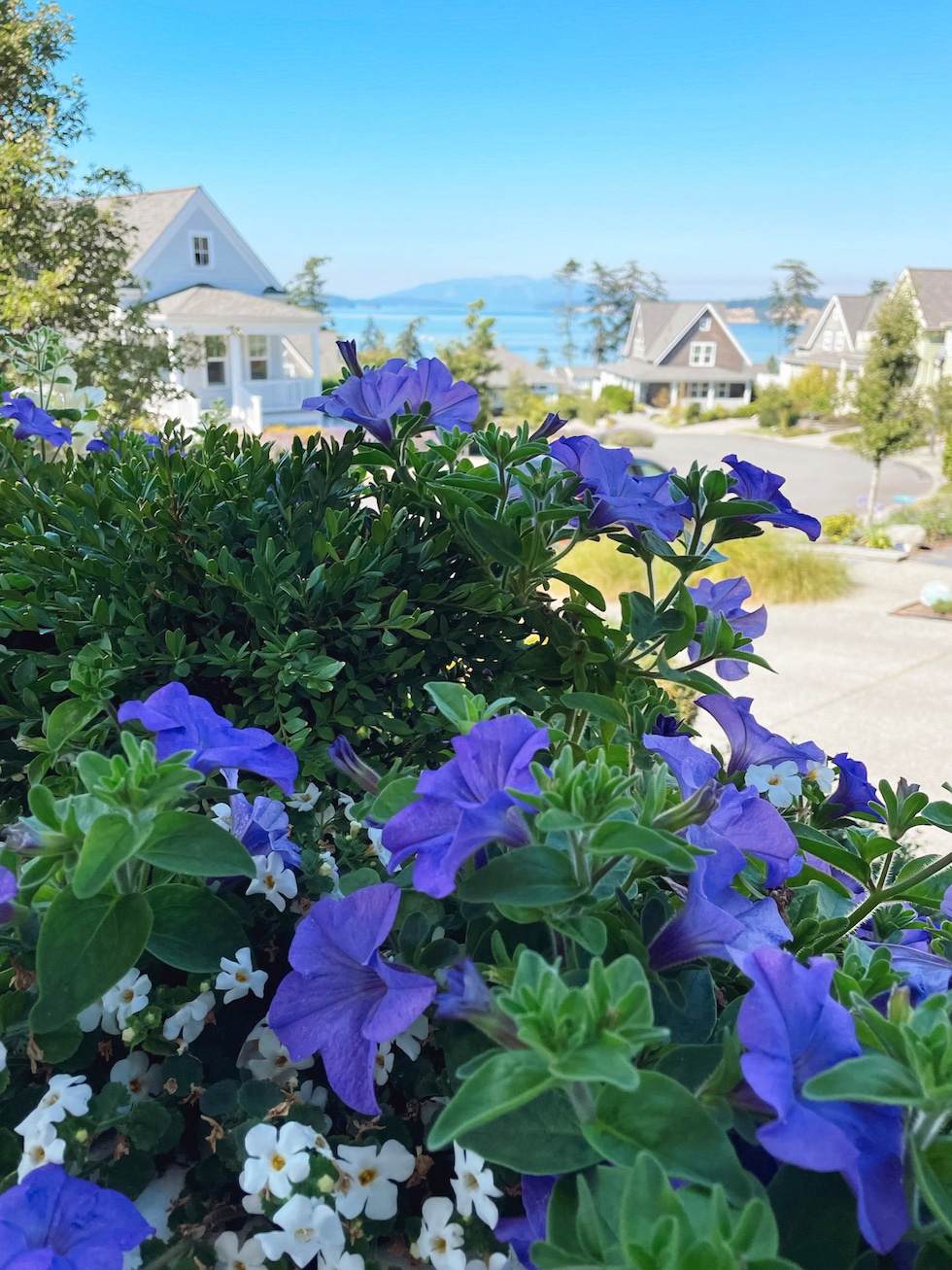 Our Railing Planter Boxes - Curb Appeal