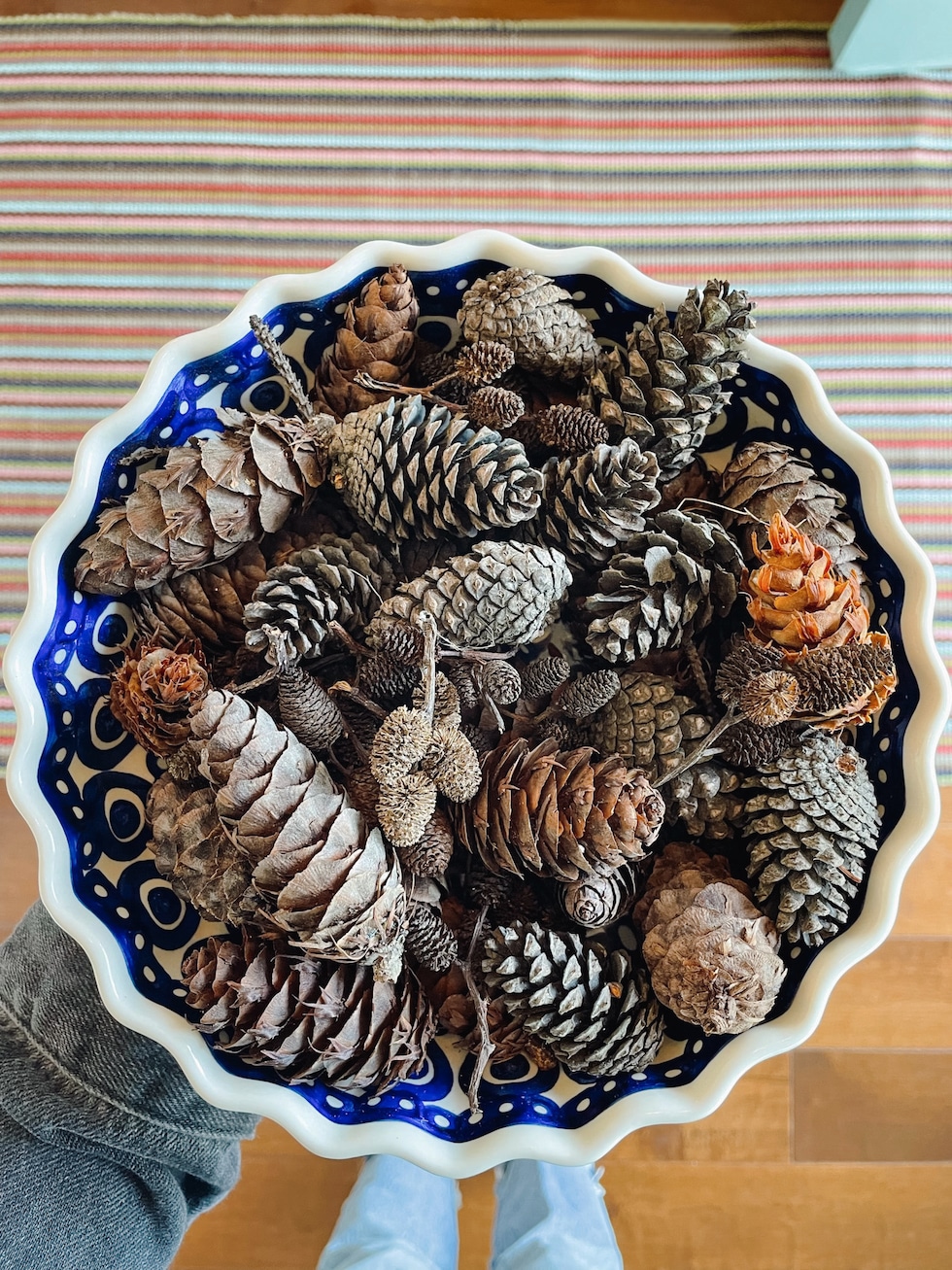 Pinecone Cleaning Steps Before Indoor Use - Crafts, Wreaths, and More!